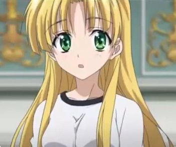 High School DxD Characters - MyWaifuList