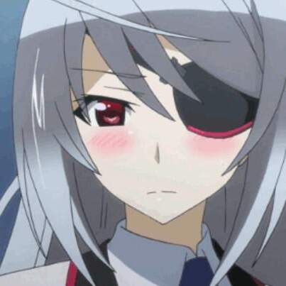 Shizune Takatsuki (IS: Infinite Stratos) - Pictures 