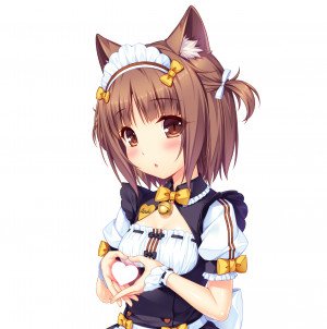 Display picture for Azuki