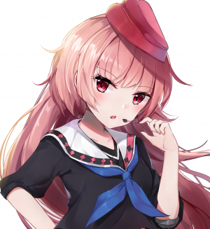 Display picture for NTW-20