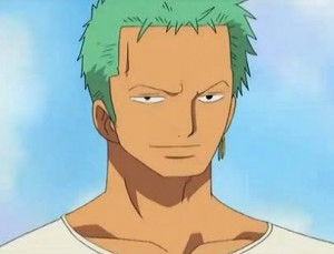 Roronoa Zoro's Outfit During The Skypiea Arc - One Piece Zoro