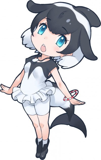 Display picture for Commerson's Dolphin
