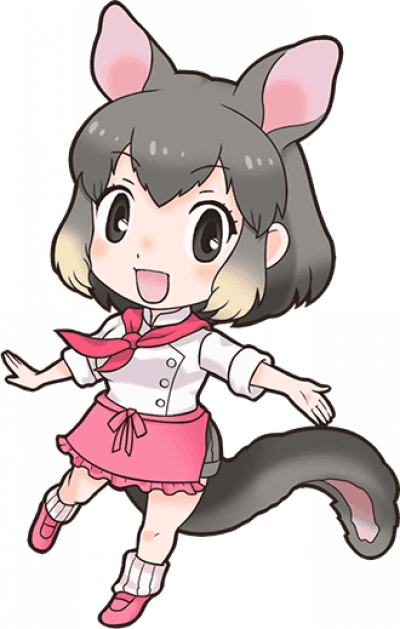 Display picture for Common Brushtail Possum