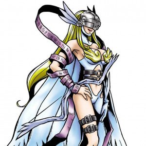 Display picture for Angewomon