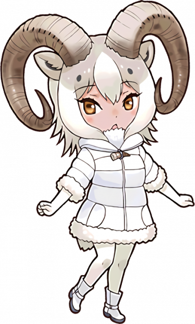 Display picture for Dall Sheep