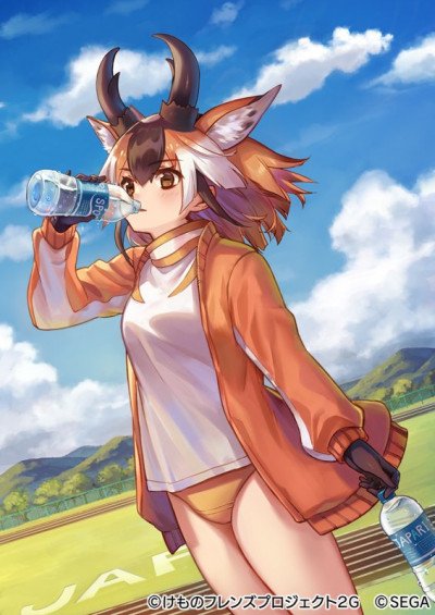 Display picture for Pronghorn