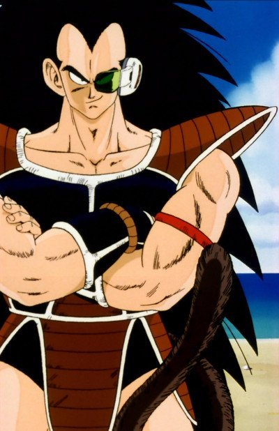 Display picture for Raditz
