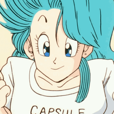 Bulma Briefs