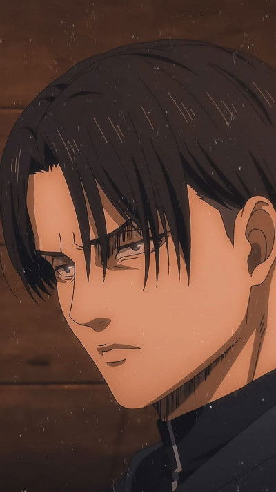 Levi Ackerman - MyWaifuList