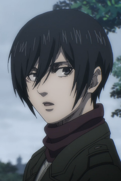 Display picture for Mikasa Ackerman