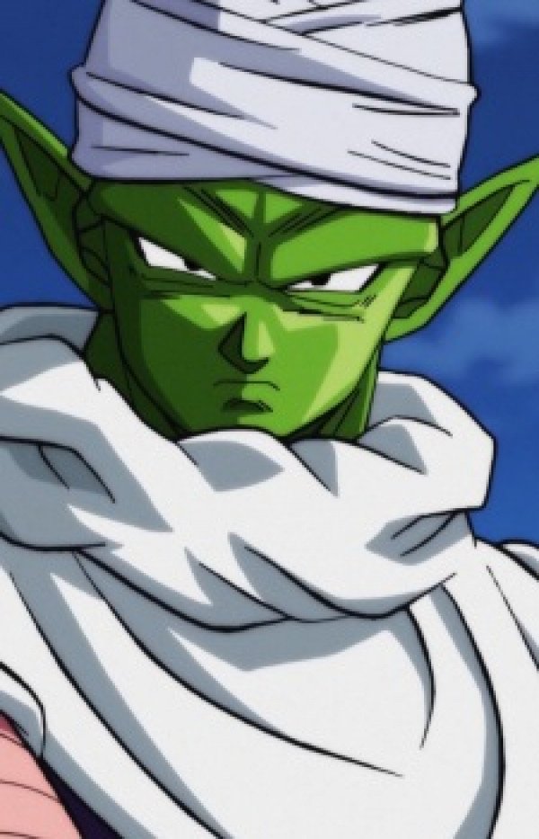 Display picture for Piccolo