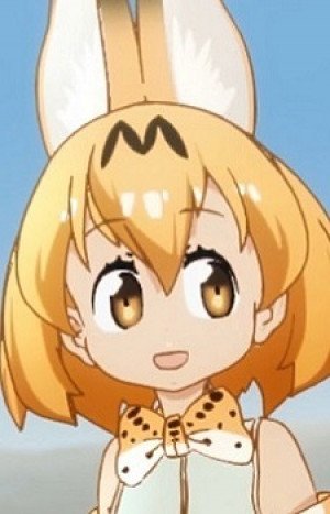 Display picture for Serval