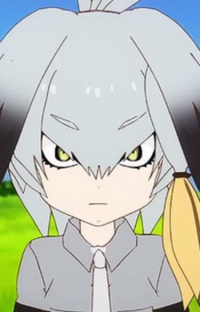 Display picture for Shoebill