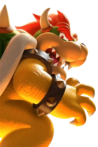 Display picture for Bowser