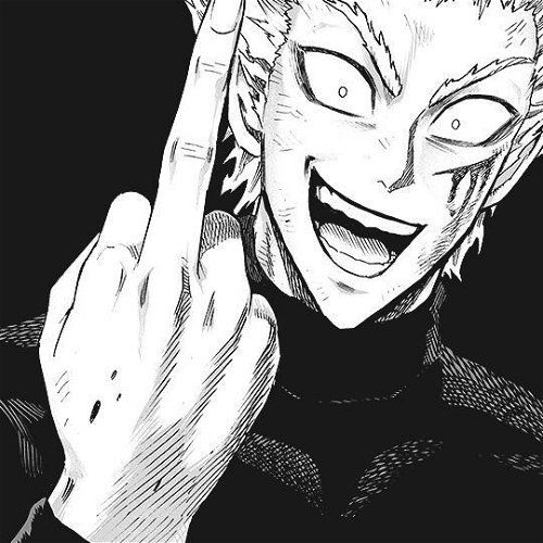 garou cosmic pfp