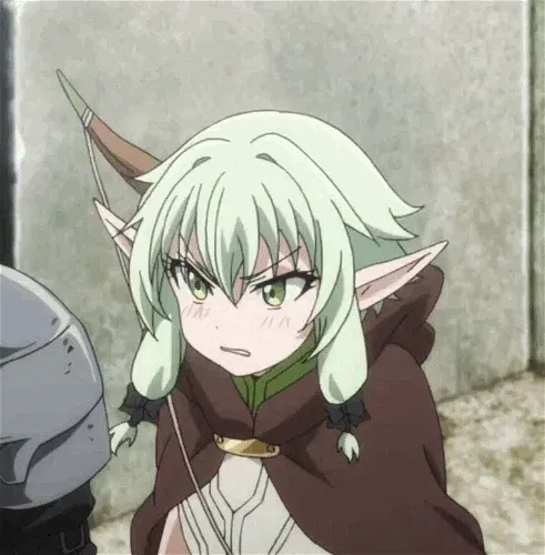 Goblin Slayer/Image Gallery  Slayer, Goblin, Fantasy adventurer