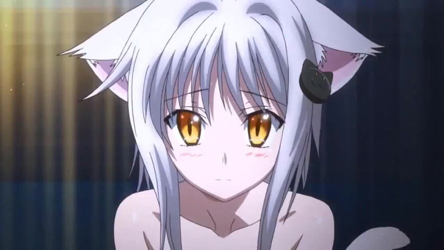 Os 20 personagens mais populares de High School DxD – As Super Listas