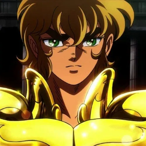 ♌aioira  Saint seiya, Zodiac, Knight