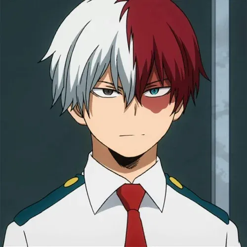 Shoto Todoroki Anime Series - Anime character names